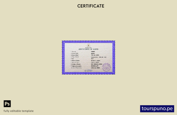 listo para imprimir plantilla PSD del certificado de nacimiento del registro civ